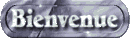 Bienvenue